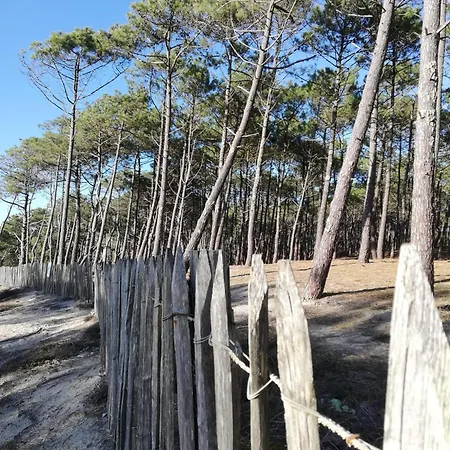 Mh 480 2ch 2sdb 40m2 Dans 4 Etoiles Avec Parc Aquatique Kamp alanı Saint-Julien-en-Born