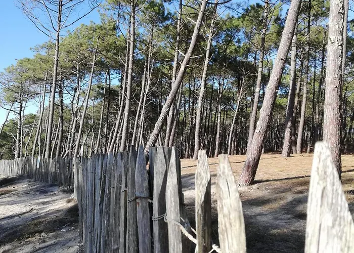 Mh 480 2ch 2sdb 40m2 Dans 4 Etoiles Avec Parc Aquatique Кемпинг Сен-Жюльен-ан-Борн